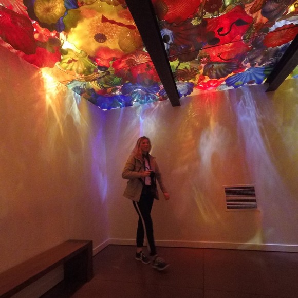 Meet your Posher, Maya - Picture 1 of 1